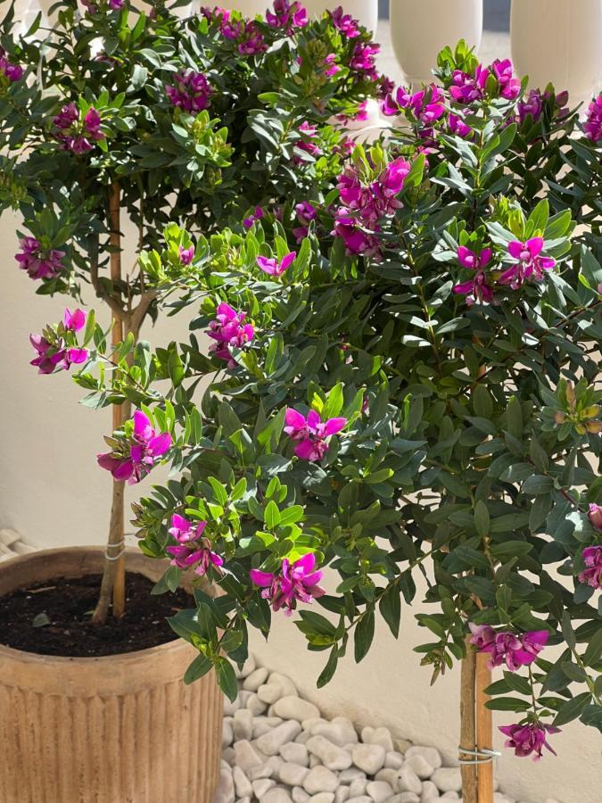 Fresh Apartment, 2 Bedroom, 2 Bathroom, 2 Lovely Poolareas * Los Alcázares